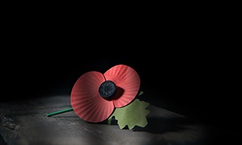 When is Remembrance Day 2023 and when do you start wearing a poppy?